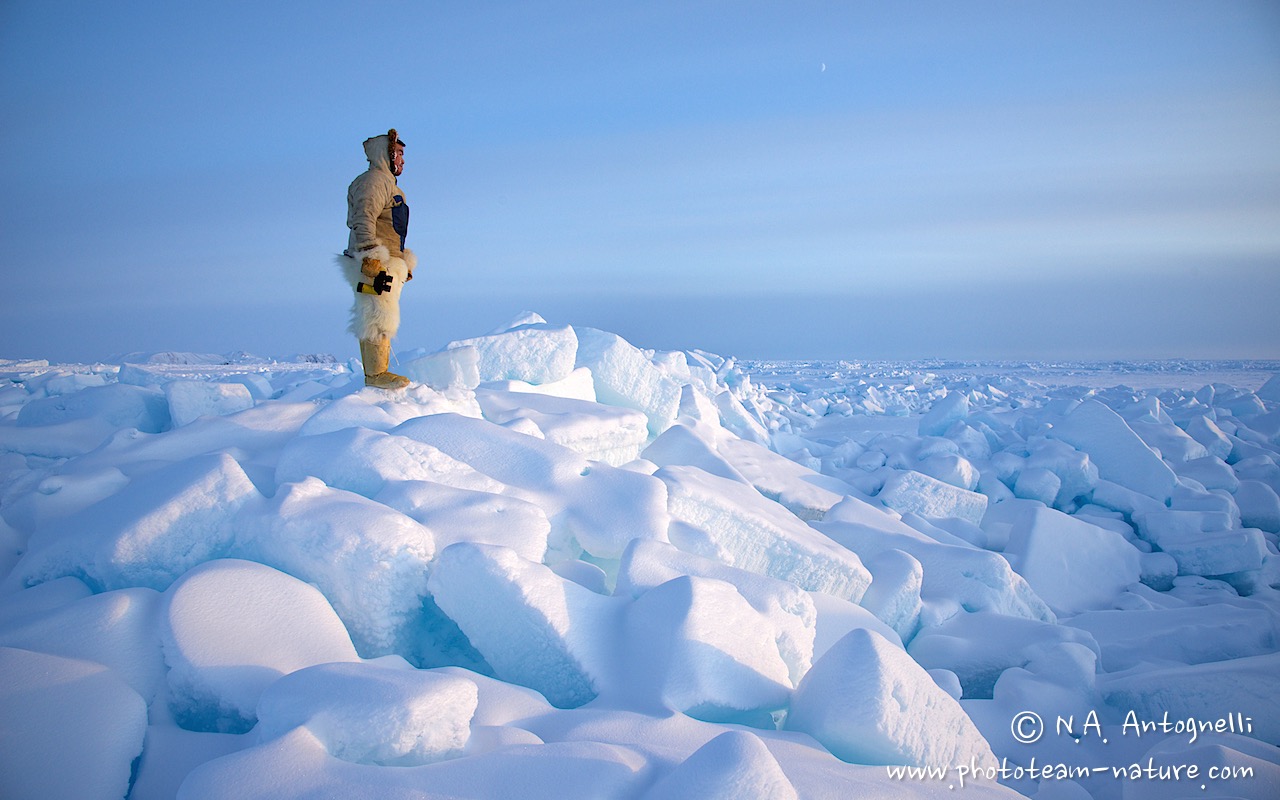 www.phototeam-nature.com-antognelli-groenland-greenland-hunting-chasse