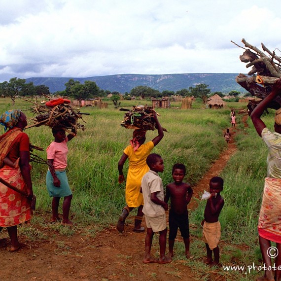 www.phototeam-nature.com-antognelli-afrique australe