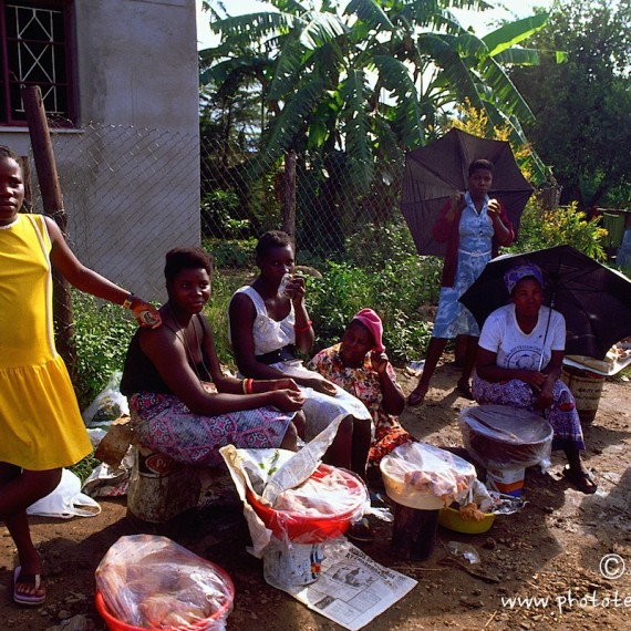 www.phototeam-nature.com-antognelli-afrique du sud