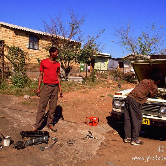 www.phototeam-nature.com-antognelli-afrique du sud-soweto