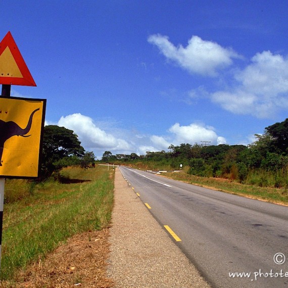 www.phototeam-nature.com-antognelli-zimbabwe