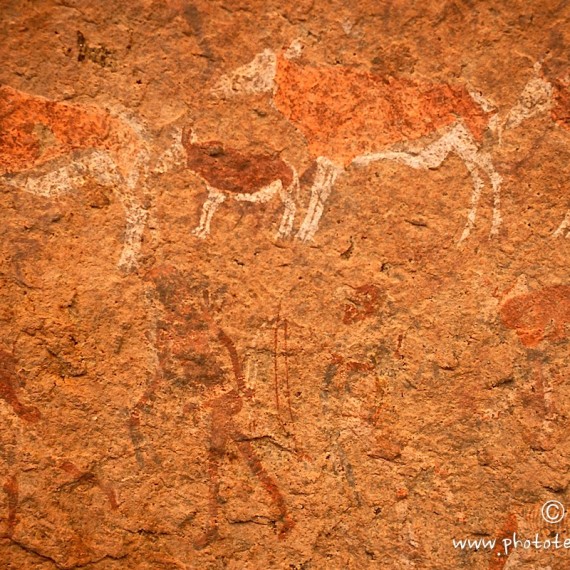 www.phototeam-nature.com-antognelli-Namibie