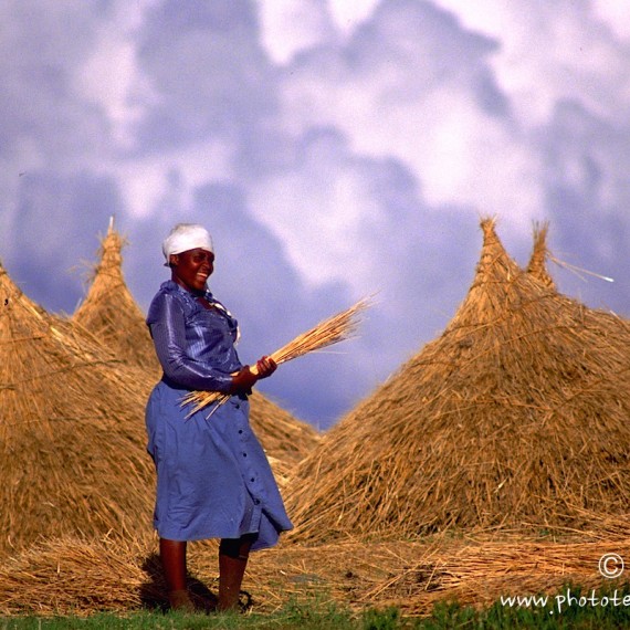 www.phototeam-nature.com-antognelli-afrique australe