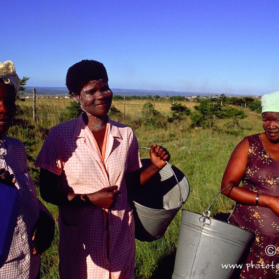 www.phototeam-nature.com-antognelli-afrique du sud