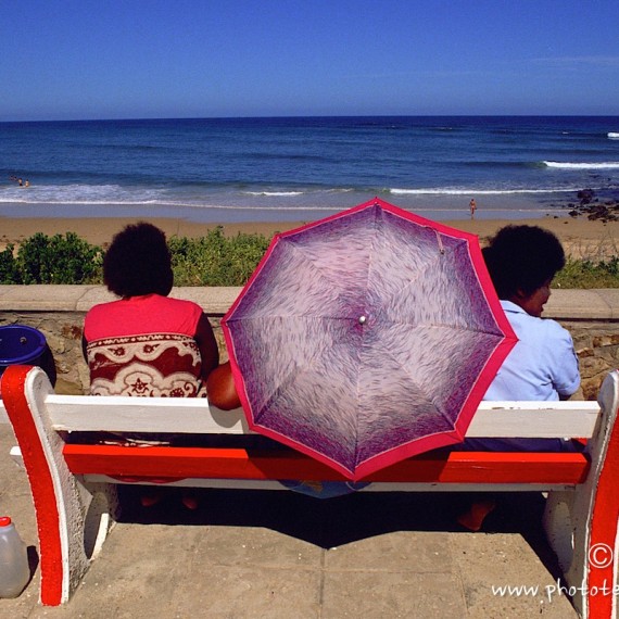 www.phototeam-nature.com-antognelli-afrique du sud