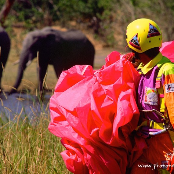 www.phototeam-nature.com-antognelli-botswana-parapente-elephant