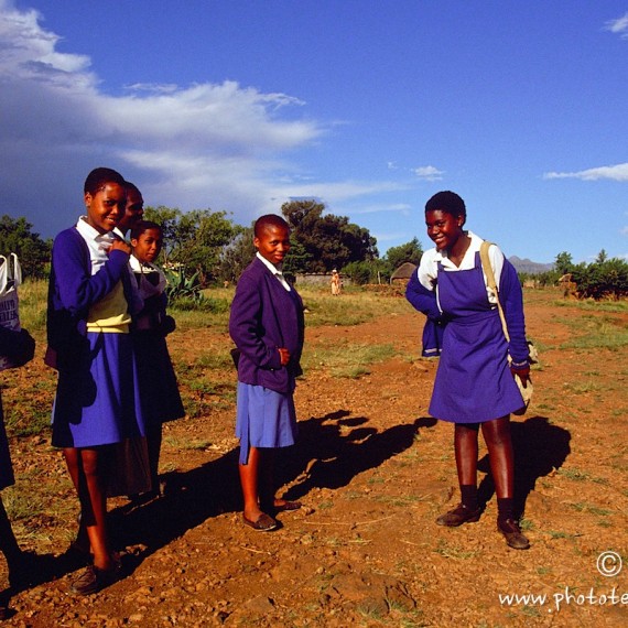 www.phototeam-nature.com-antognelli-afrique du sud