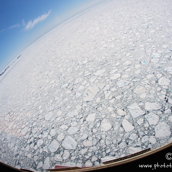 www.phototeam-nature.com-antognelli-greenland-expedition-kayak-banquise