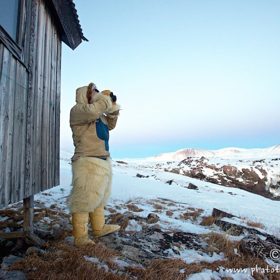 www.phototeam-nature.com-antognelli-groenland-greenland-nanoq-polar bear-ours polaire-hunting-chasse-traineau-chien-dog sleg-savissivik