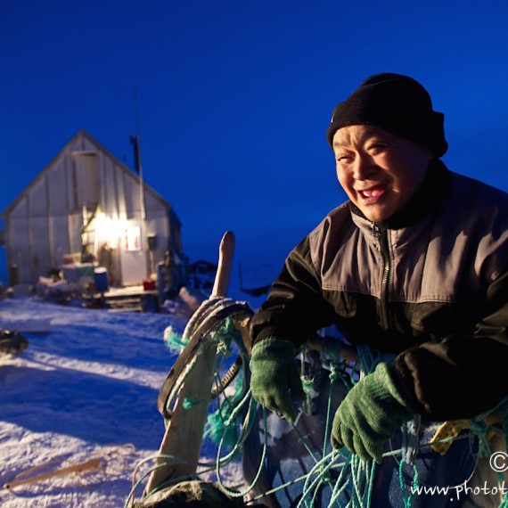 www.phototeam-nature.com-antognelli-groenland-greenland-nanoq-polar bear-ours polaire-hunting-chasse-traineau-chien-dog sleg-savissivik