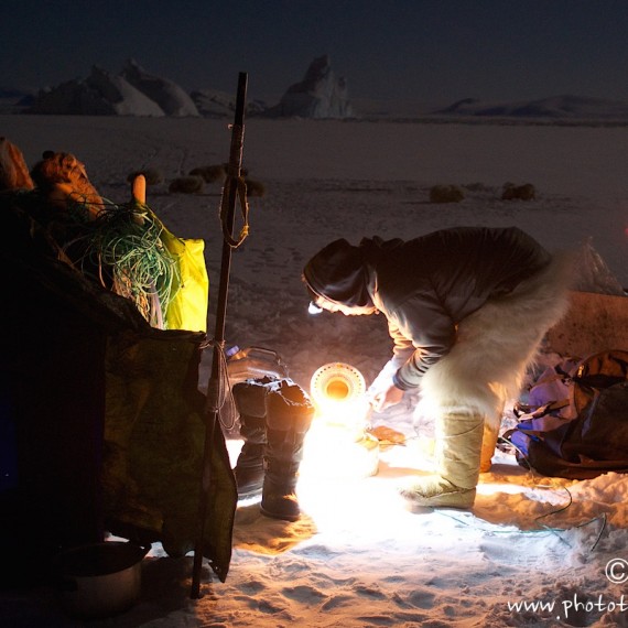 www.phototeam-nature.com-antognelli-groenland-greenland-nanoq-polar bear-ours polaire-hunting-chasse-traineau-chien-dog sleg-savissivik