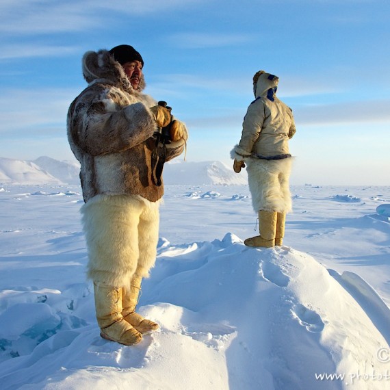 www.phototeam-nature.com-antognelli-groenland-greenland-nanoq-polar bear-ours polaire-hunting-chasse-traineau-chien-dog sleg-savissivik-l âme de la banquise