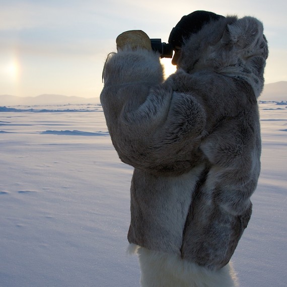 www.phototeam-nature.com-antognelli-groenland-greenland-nanoq-polar bear-ours polaire-hunting-chasse-traineau-chien-dog sleg-savissivik