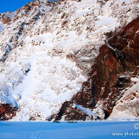 www.phototeam-nature.com-antognelli-groenland-greenland-nanoq-polar bear-ours polaire-hunting-chasse-traineau-chien-dog sleg-savissivik