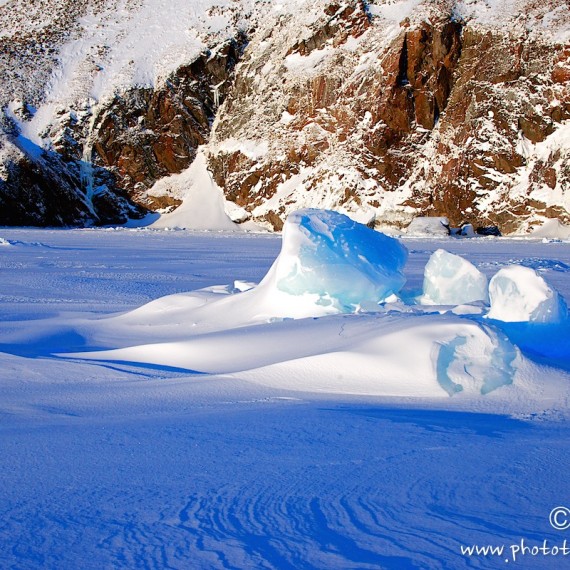 www.phototeam-nature.com-antognelli-groenland-greenland-nanoq-polar bear-ours polaire-hunting-chasse-traineau-chien-dog sleg-savissivik