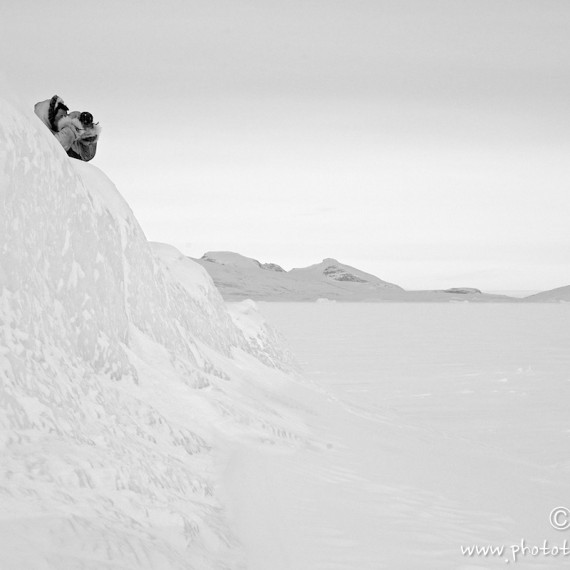 www.phototeam-nature.com-antognelli-groenland-greenland-nanoq-polar bear-ours polaire-hunting-chasse-traineau-chien-dog sleg-savissivik