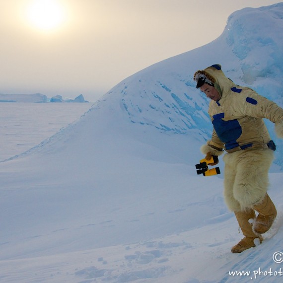 www.phototeam-nature.com-antognelli-groenland-greenland-nanoq-polar bear-ours polaire-hunting-chasse-traineau-chien-dog sleg-savissivik