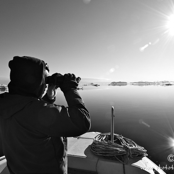 www.phototeam-nature.com-antognelli-groenland-greenland-narwhal-narval-chasse-hunting-kayak