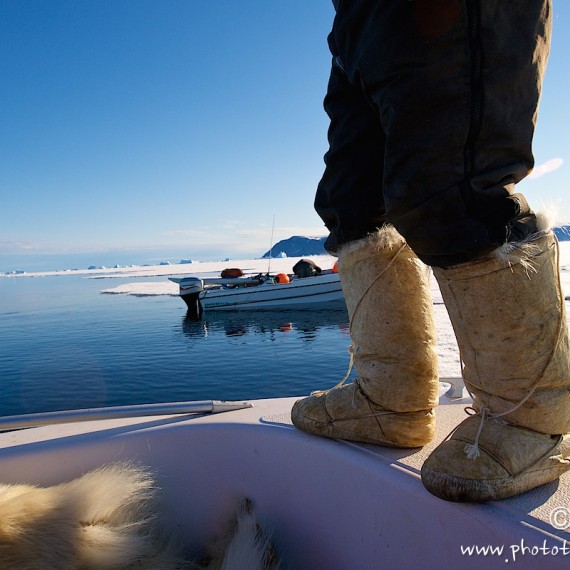 www.phototeam-nature.com-antognelli-groenland-greenland-narwhal-narval-chasse-hunting-kayak