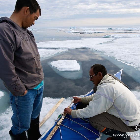 www.phototeam-nature.com-antognelli-groenland-greenland-narwhal-narval-chasse-hunting-kayak