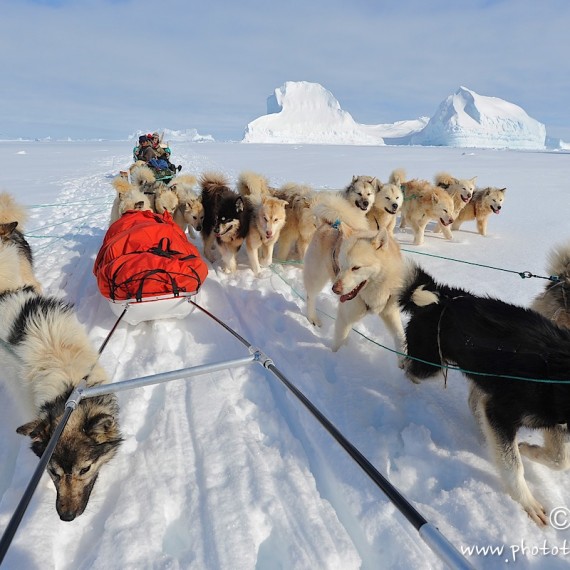 www.phototeam-nature.com-antognelli-Melville-expedition-traineau-chien-dog sled-groenland-greenland