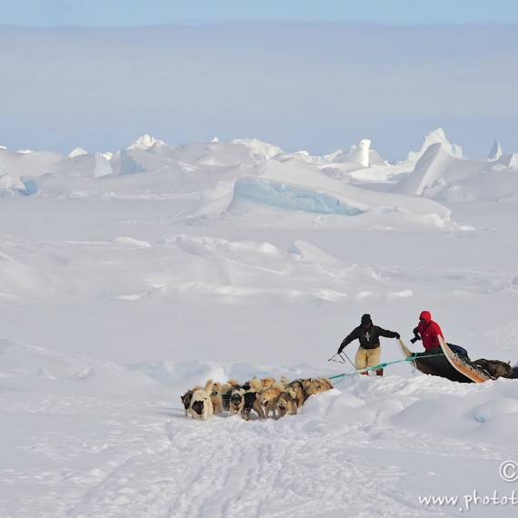 www.phototeam-nature.com-antognelli-Melville-expedition-traineau-chien-dog sled-groenland-greenland