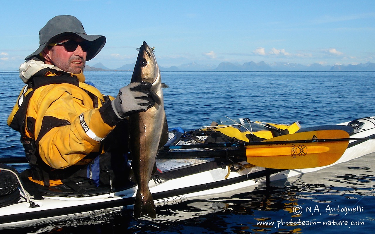 www.phototeam-nature.com-antognelli-norvege-vesterallen-kayak-expedition-kokatat