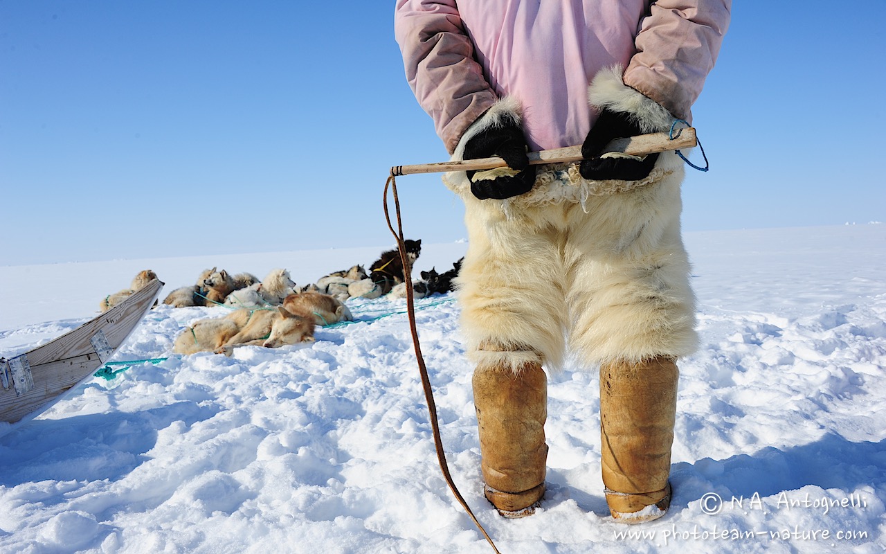 www.phototeam-nature.com-antognelli-Melville-expedition-traineau-sled-groenland-greenland