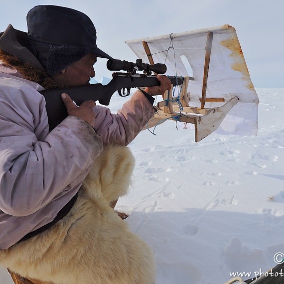 www.phototeam-nature.com-antognelli-Melville-expedition-traineau-chien-dog sled-groenland-greenland