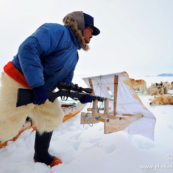 www.phototeam-nature.com-antognelli-Melville-expedition-traineau-chien-dog sled-groenland-greenland-phoque