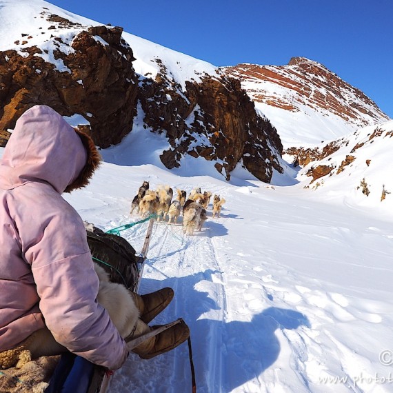 www.phototeam-nature.com-antognelli-Melville-expedition-traineau-chien-dog sled-groenland-greenland