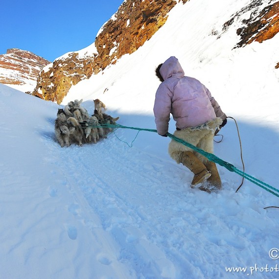 www.phototeam-nature.com-antognelli-Melville-expedition-traineau-chien-dog sled-groenland-greenland