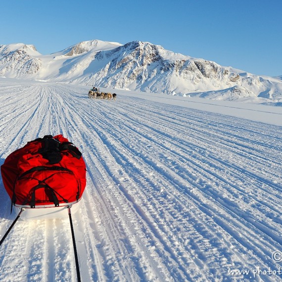 www.phototeam-nature.com-antognelli-Melville-expedition-traineau-chien-dog sled-groenland-greenland