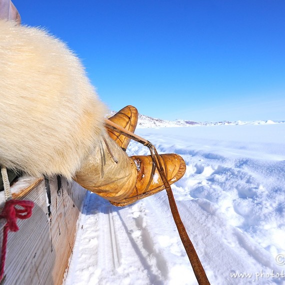 www.phototeam-nature.com-antognelli-Melville-expedition-traineau-chien-dog sled-groenland-greenland