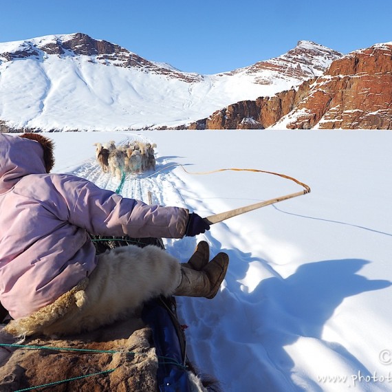 www.phototeam-nature.com-antognelli-Melville-expedition-traineau-chien-dog sled-groenland-greenland