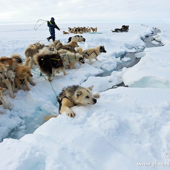 www.phototeam-nature.com-antognelli-Melville-expedition-traineau-chien-dog sled-groenland-greenland