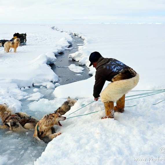 www.phototeam-nature.com-antognelli-Melville-expedition-traineau-chien-dog sled-groenland-greenland