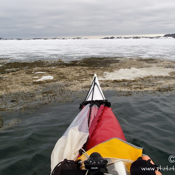 www.phototeam-nature.com-antognelli-groenland-greenland-expedition-kayak-kokatat-sea kayaking uk-reed