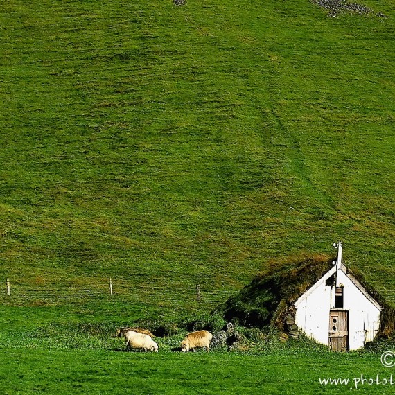 www.phototeam-nature.com-antognelli-iceland-islande-