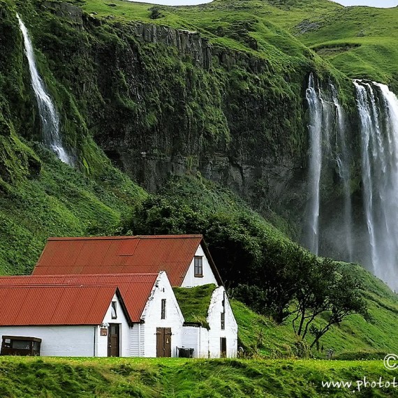 www.phototeam-nature.com-antognelli-iceland-islande-