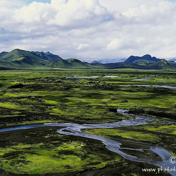 www.phototeam-nature.com-antognelli-iceland-islande-