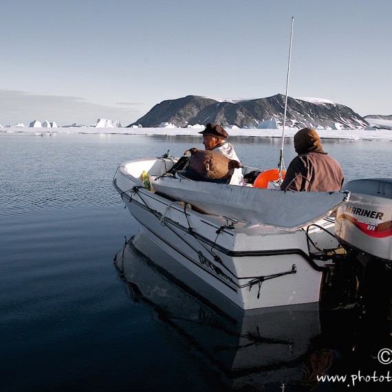 www.phototeam-nature.com-antognelli-groenland-greenland-narwhal-narval-chasse-hunting-kayak