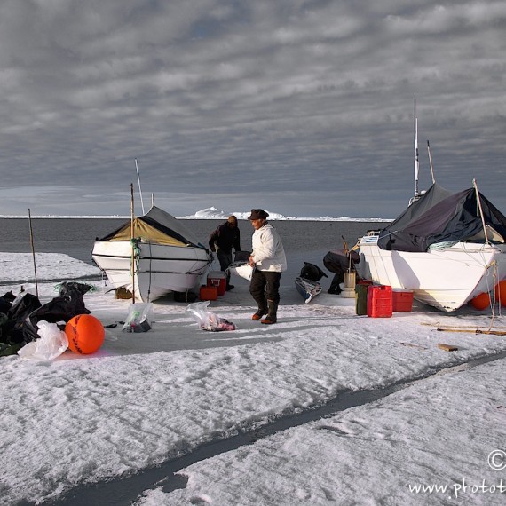 www.phototeam-nature.com-antognelli-groenland-greenland-narwhal-narval-chasse-hunting-kayak