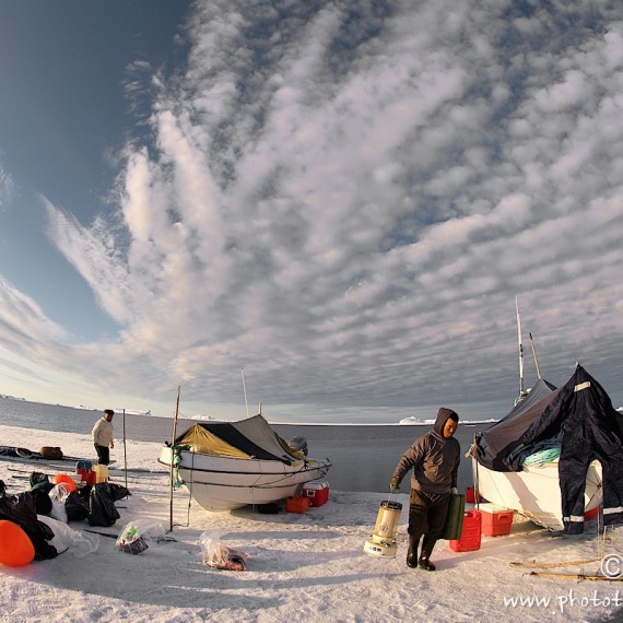 www.phototeam-nature.com-antognelli-groenland-greenland-narwhal-narval-chasse-hunting-kayak-camp