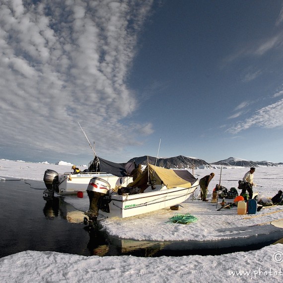 www.phototeam-nature.com-antognelli-groenland-greenland-narwhal-narval-chasse-hunting-kayak