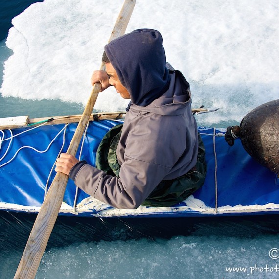 www.phototeam-nature.com-antognelli-groenland-greenland-narwhal-narval-chasse-hunting-kayak