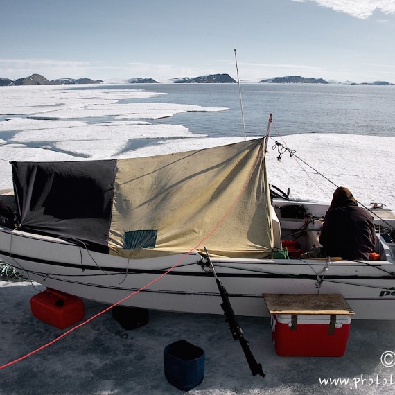 www.phototeam-nature.com-antognelli-groenland-greenland-narwhal-narval-chasse-hunting-kayak