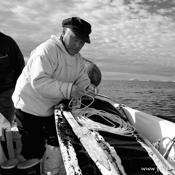 www.phototeam-nature.com-antognelli-groenland-greenland-narwhal-narval-chasse-hunting-kayak