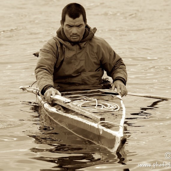 www.phototeam-nature.com-antognelli-groenland-greenland-narwhal-narval-chasse-hunting-kayak