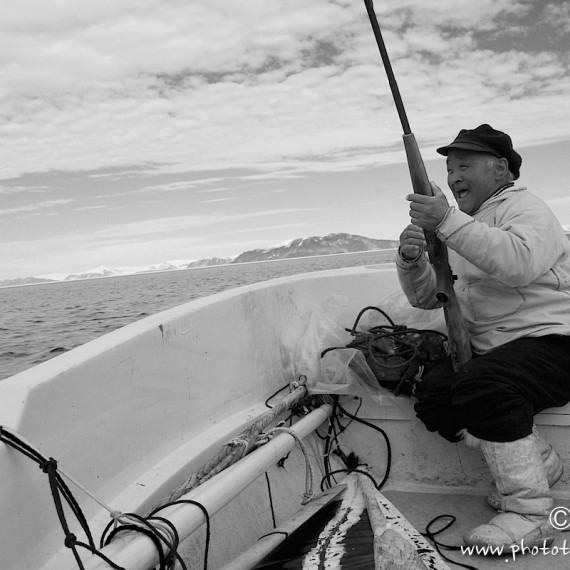 www.phototeam-nature.com-antognelli-groenland-greenland-narwhal-narval-chasse-hunting-kayak